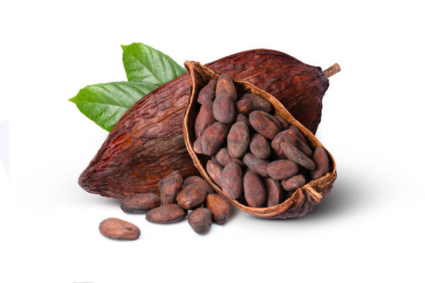 Cocoa